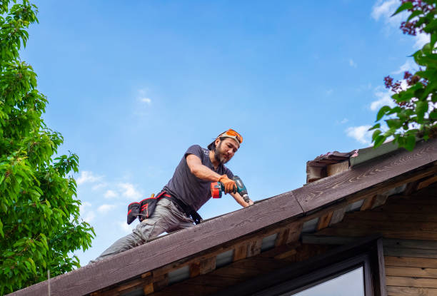 Best Roof Insulation Installation  in Terrace Park, OH